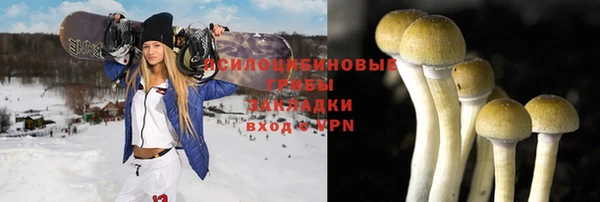гашик Дмитровск