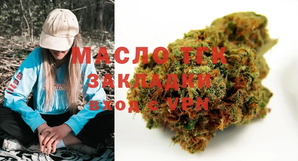 гашик Дмитровск