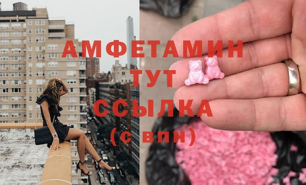 гашик Дмитровск