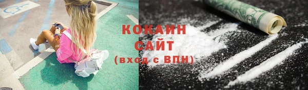 гашик Дмитровск