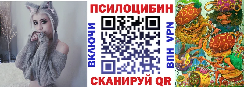 Псилоцибиновые грибы Psilocybe  Купить где  Опочка 